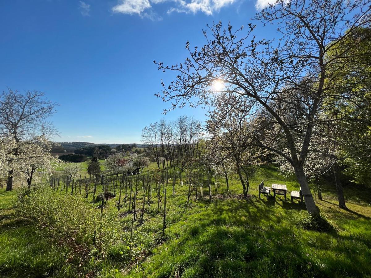 Kellerstöckl Hütter Villa Güssing Exteriör bild