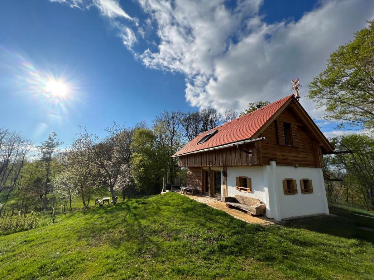 Kellerstöckl Hütter Villa Güssing Exteriör bild
