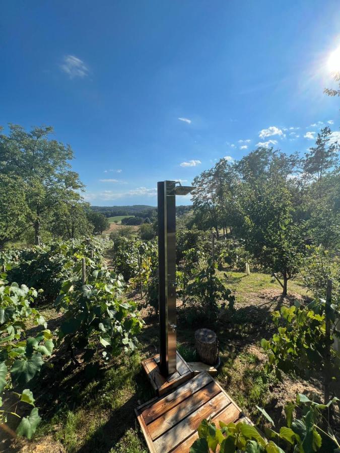 Kellerstöckl Hütter Villa Güssing Exteriör bild